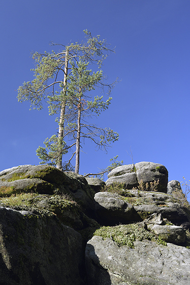 Na skalch - men formt