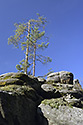Na skalch - hlavn odkaz