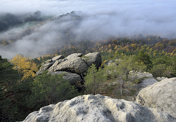 On rocks - smaller format