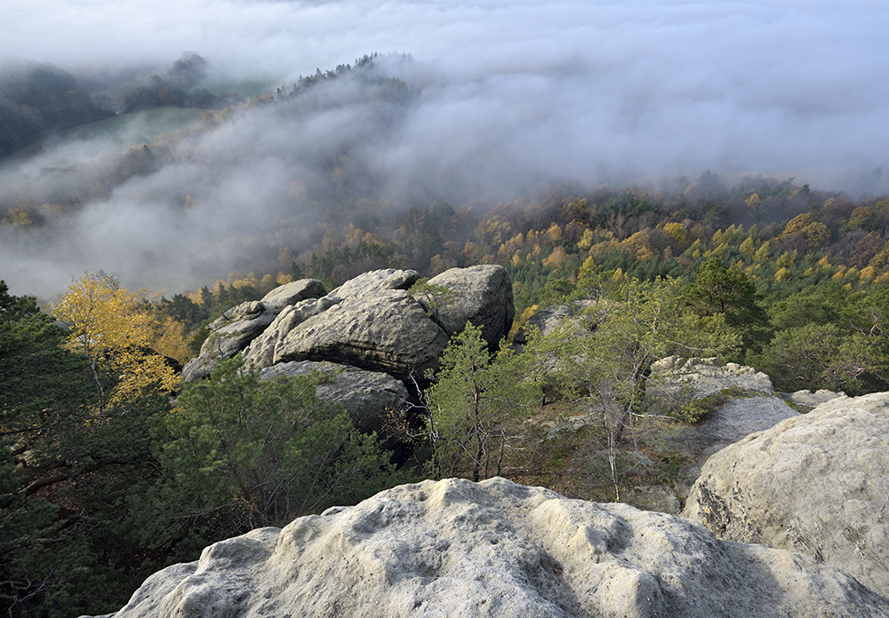 On rocks - larger format