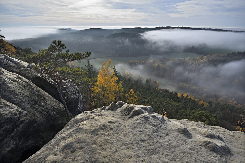 On rocks - larger format