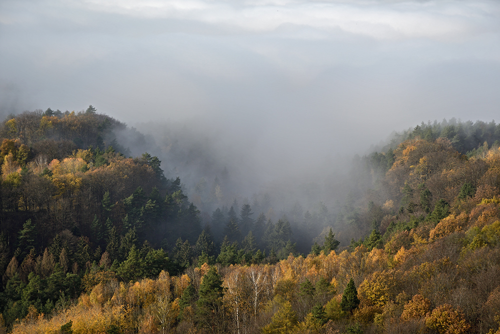 "Vlho Valley" - larger format