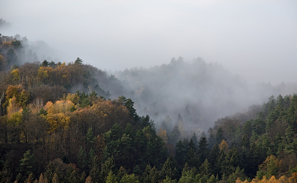 "Vlho Valley" - larger format