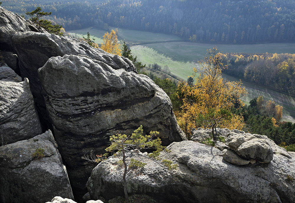 On rocks - larger format