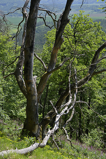 On slope edge - smaller format
