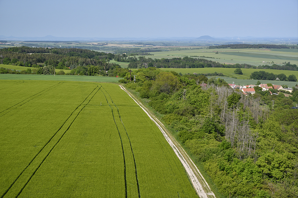 Rozhledy - vt formt