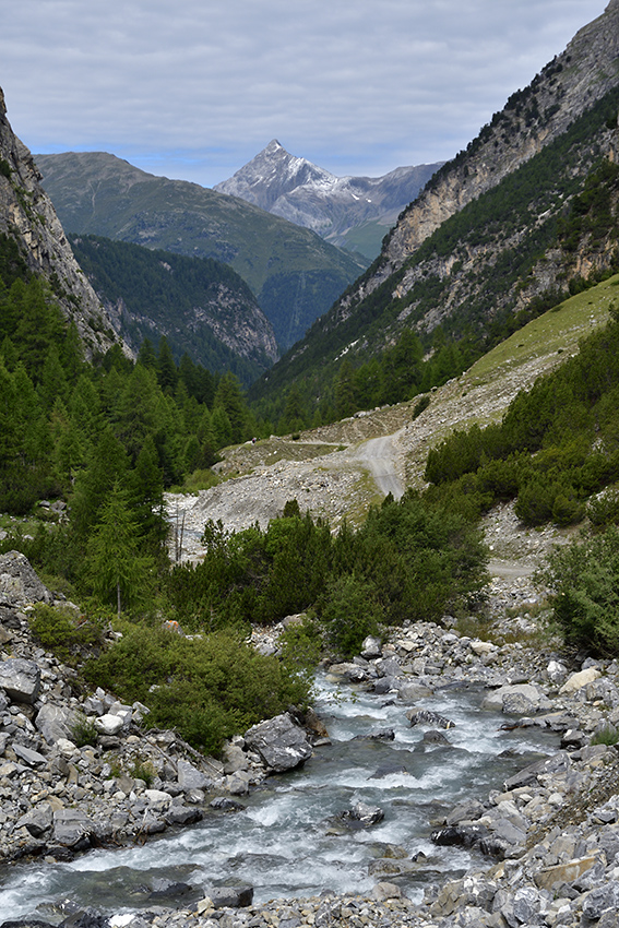 Piz ertsch - vt formt