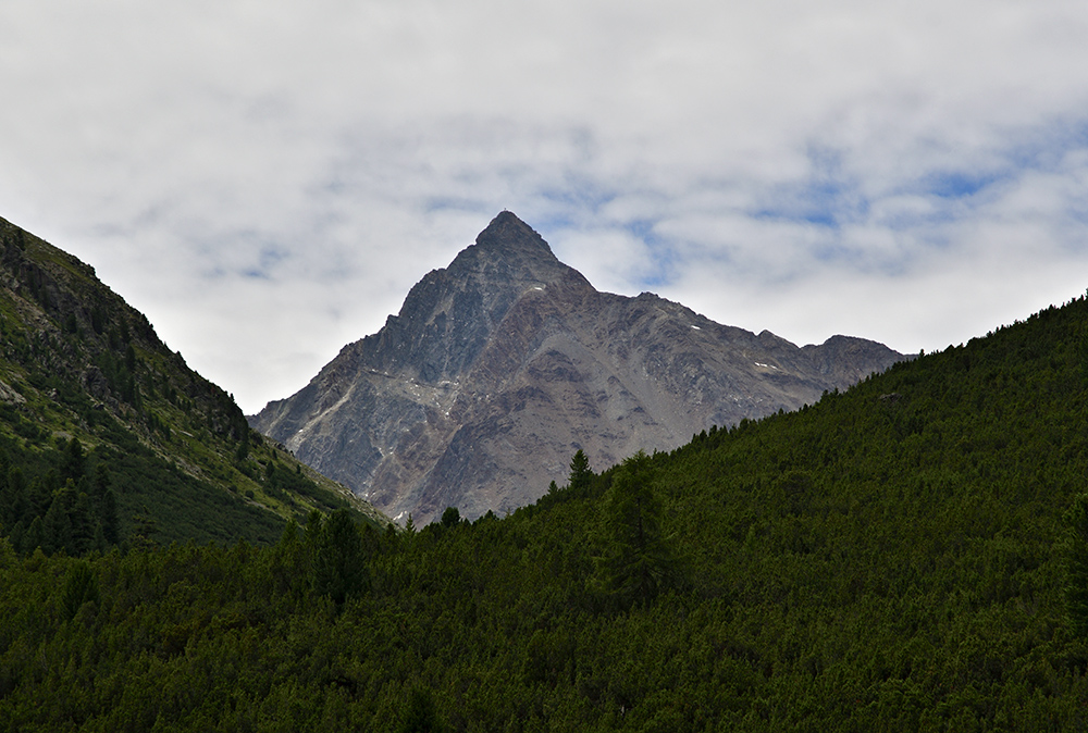 Piz Languard - vt formt