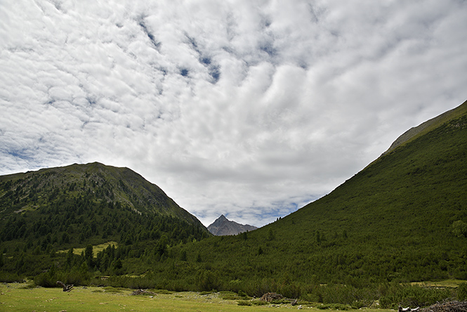 Piz Languard - men formt