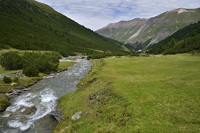 dol Chamuera - men formt