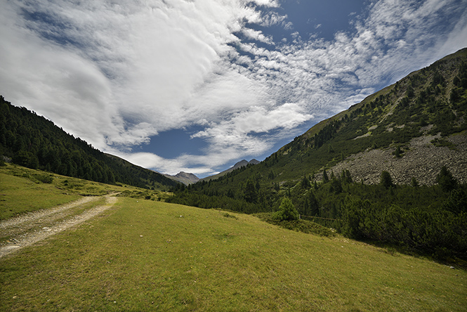 dol Chamuera - men formt