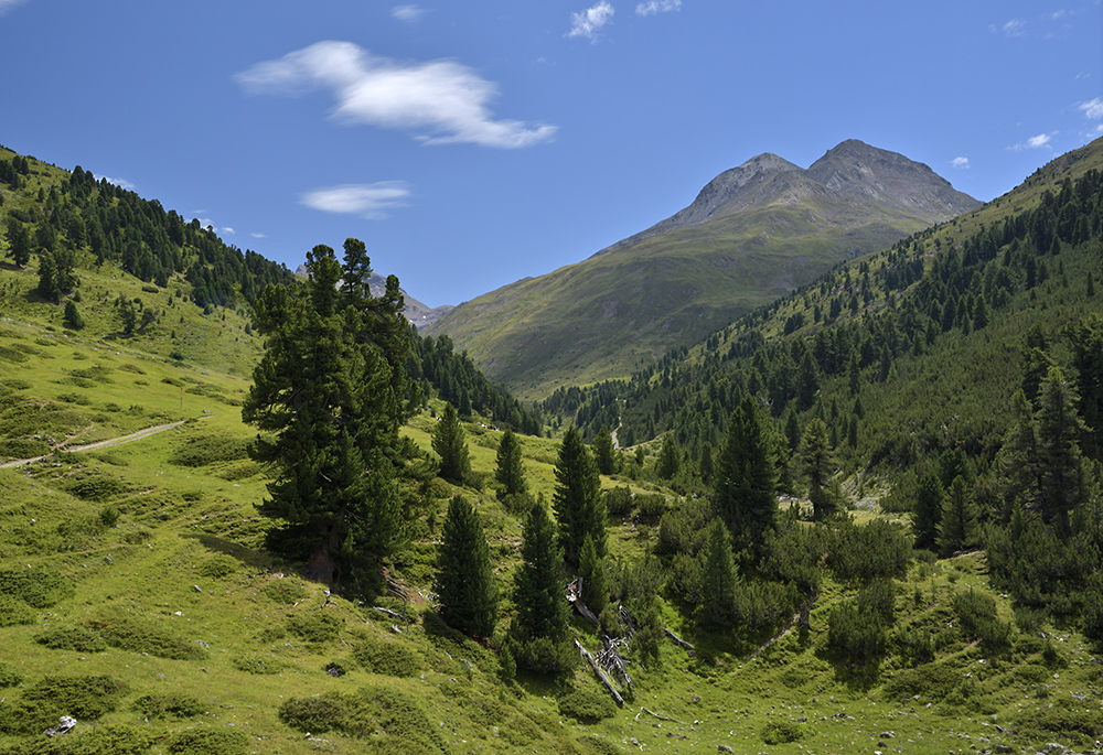 dol Chamuera - vt formt