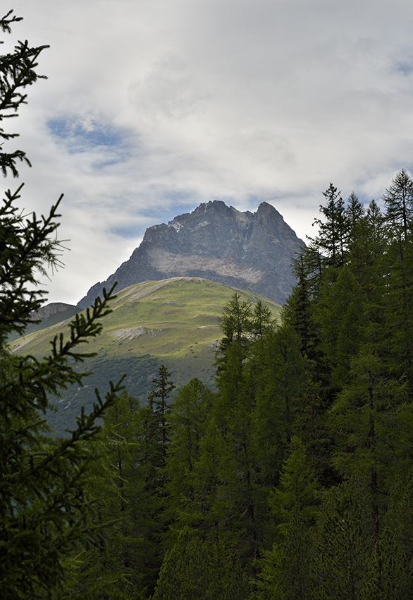 Piz Kesch - vt formt