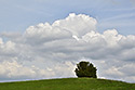 By the way - main link
