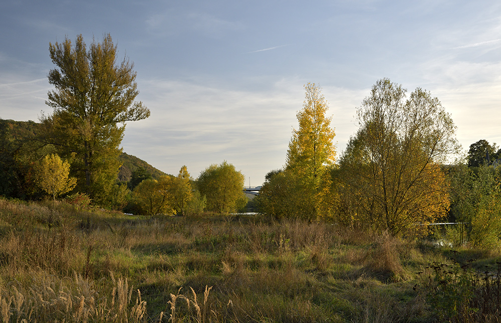 At "Zbraslav" - larger format