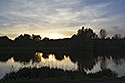 Evening at "Vltava" - main link