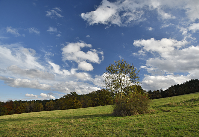 Under "Vlho" - smaller format