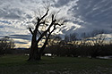 At "Vltava" river - main link