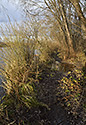 At "Vltava" river - main link