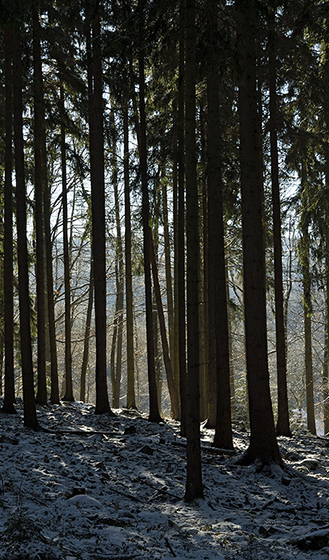 Backlight - smaller format