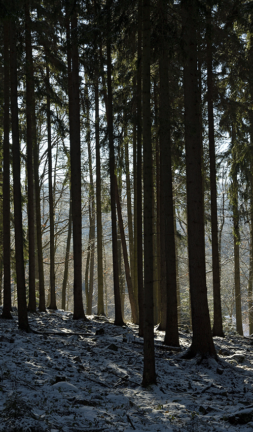 Backlight - larger format