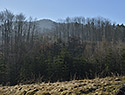 Under "Saddle Hill" - main link