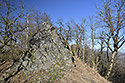 On "Saddle Hill" - main link