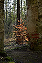 Ruiny - hlavn odkaz