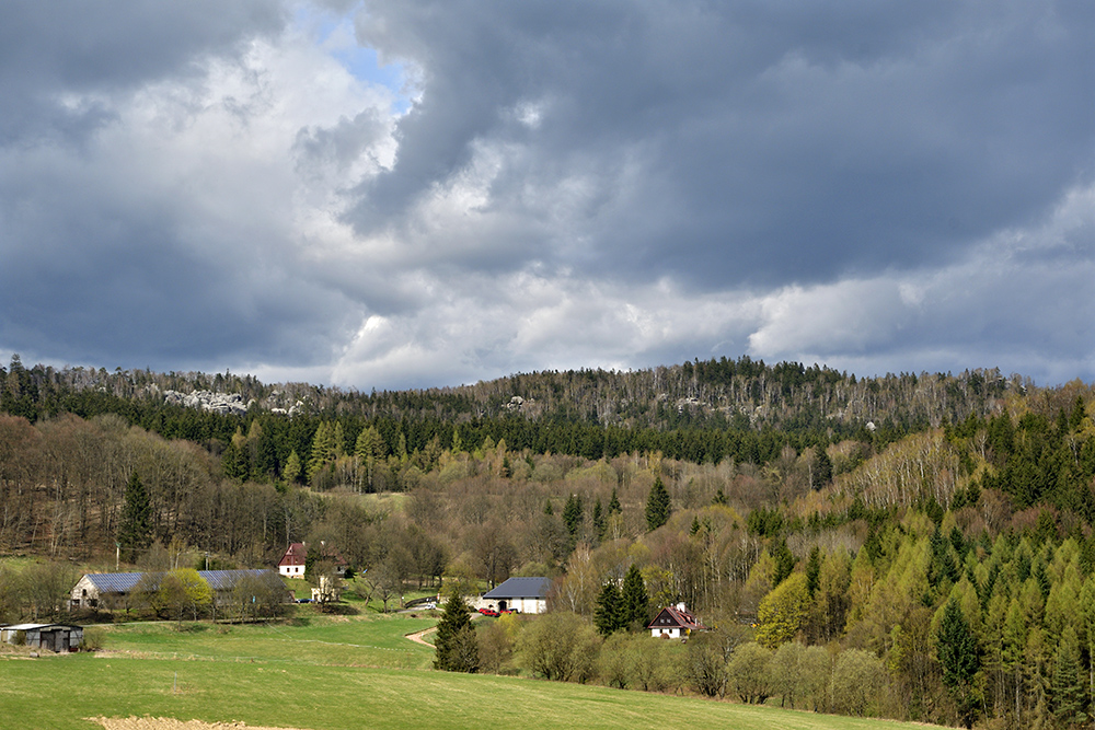 Bik - vt formt