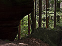 Ve skalch - hlavn odkaz