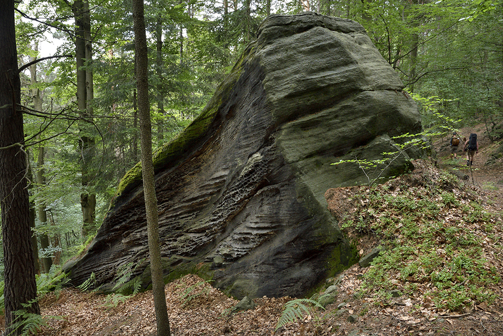 Ve skalch - vt formt