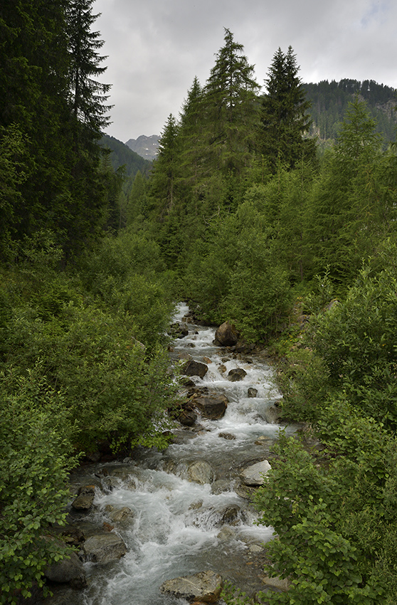 Lappbach - vt formt