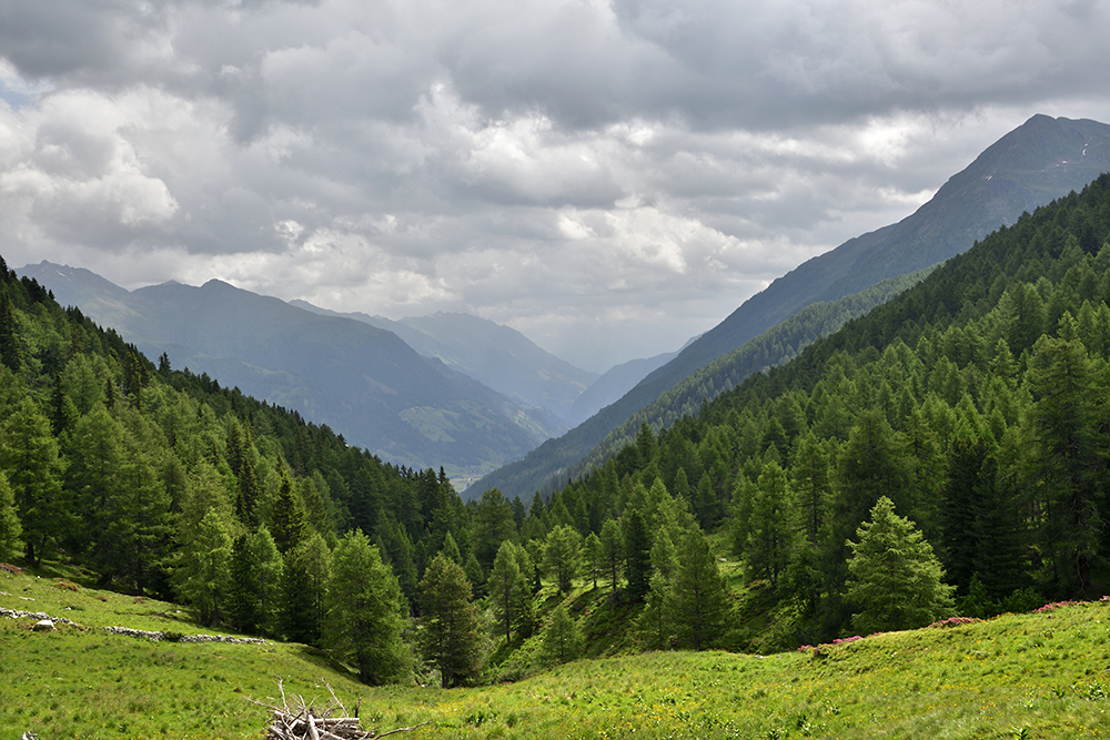 Lappachalm - vt formt