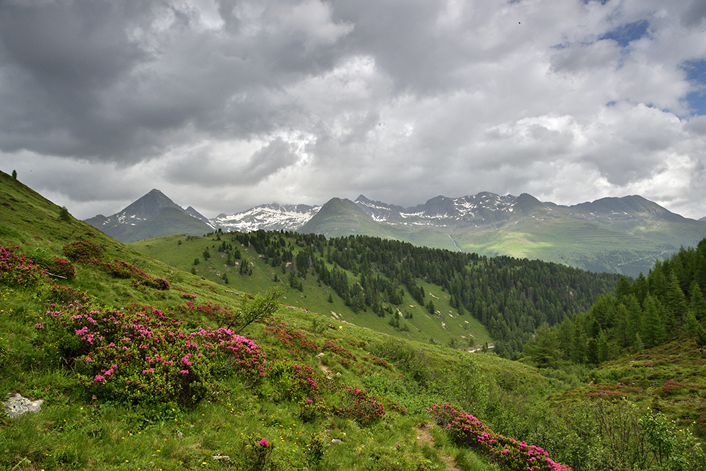 Panorama - vt formt