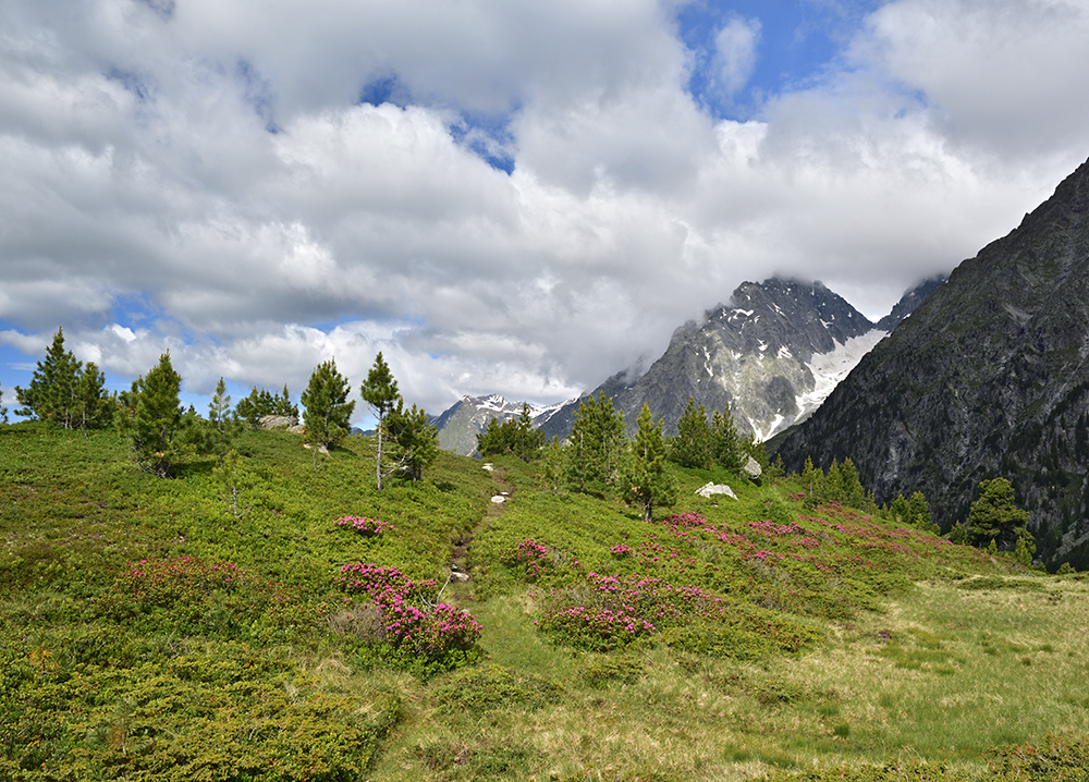 Nad Obersee - vt formt