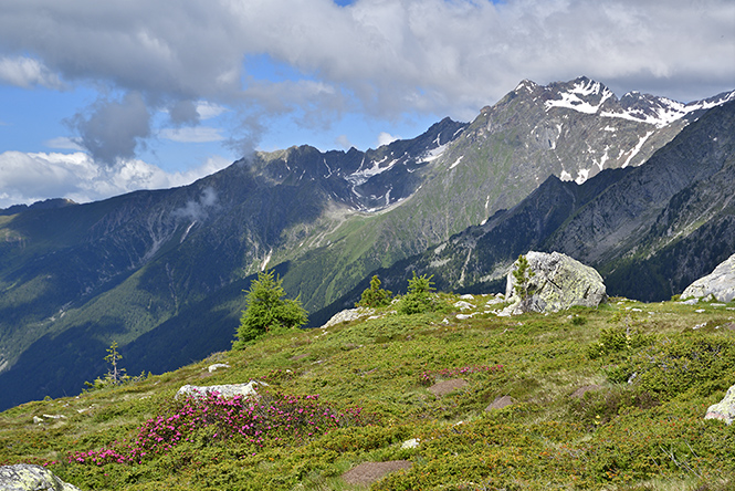 Nad Obersee - men formt