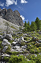 Cestou dol - hlavn odkaz