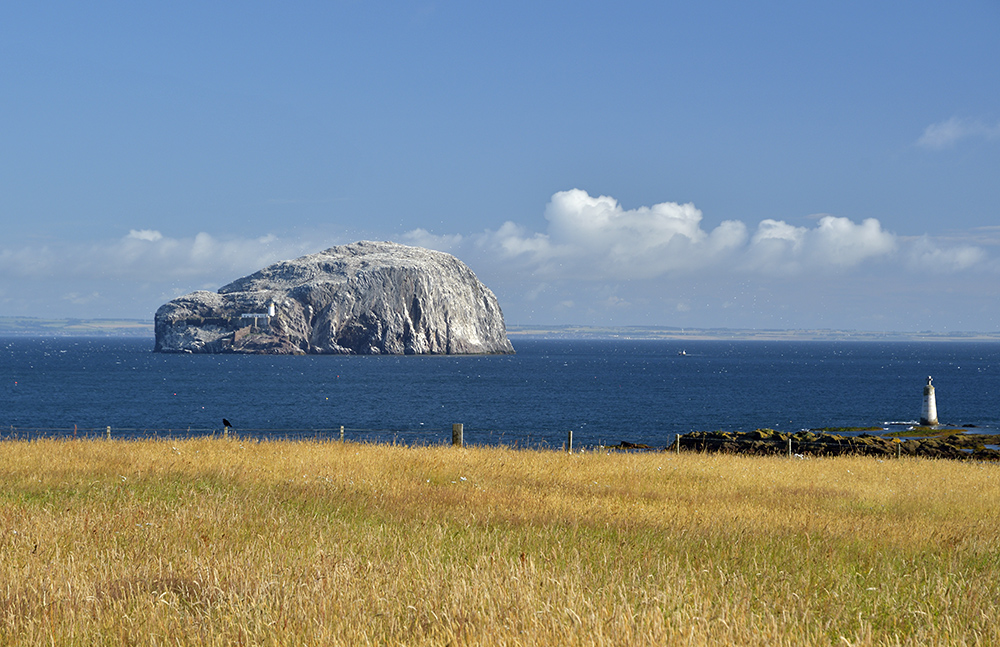 Bass Rock - vt formt