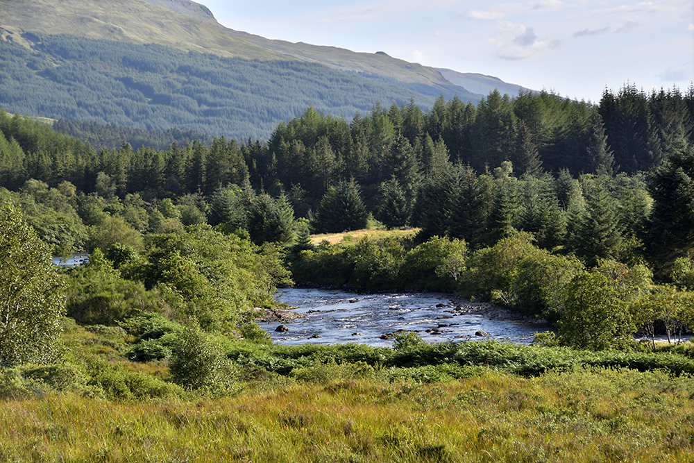 River Orchy - vt formt