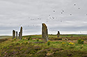 Ring of Brodgar - hlavn odkaz