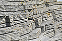 Stna - hlavn odkaz