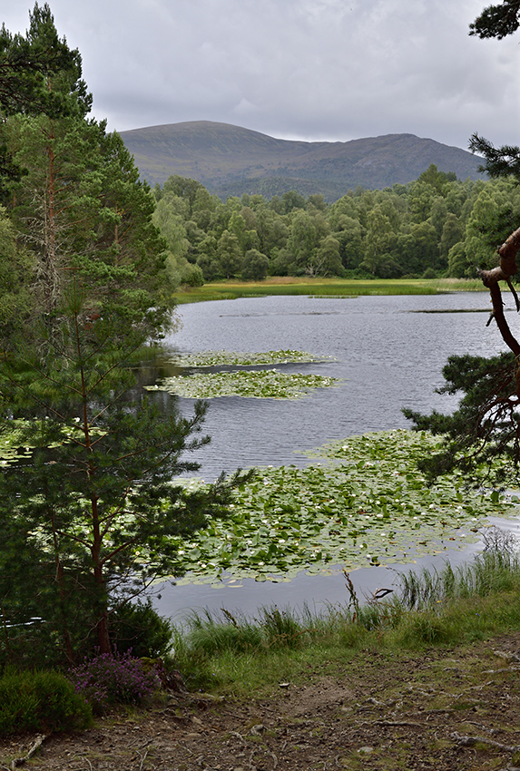 Lochan Mor - vt formt
