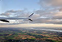Firth of Forth - hlavn odkaz