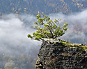 Nad kaonem - hlavn odkaz