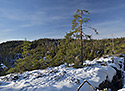 Na Skalnm ostrov - hlavn odkaz