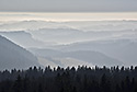 Drobnokresba - hlavn odkaz