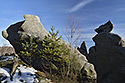 Na skalch - hlavn odkaz
