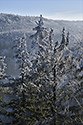 Na vyhldce - hlavn odkaz