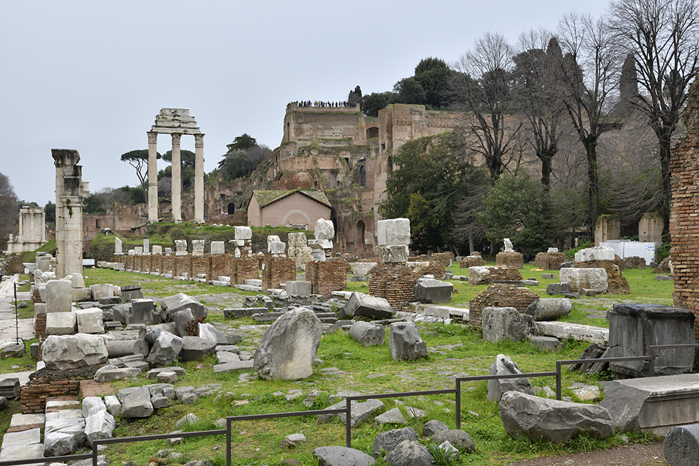 Basilica Iulia - vt formt