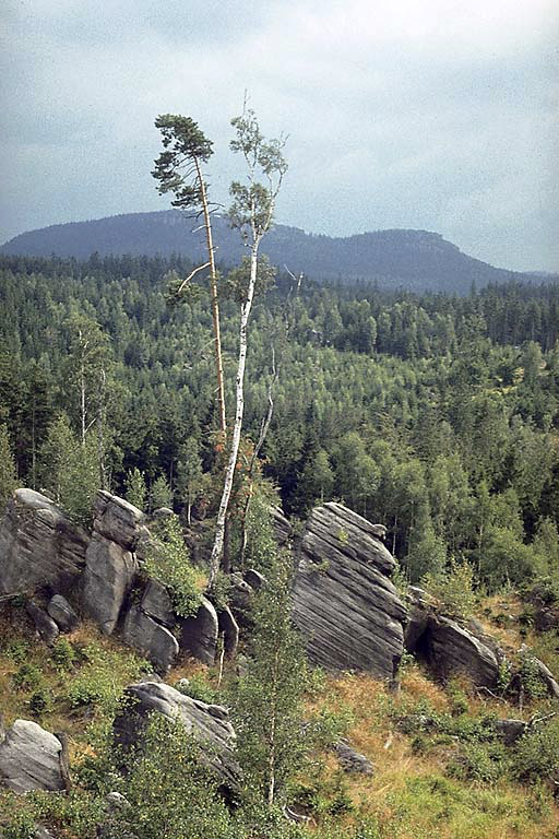 Na Suchm vrchu - vt formt